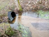 IMG_20231228_145526 (1024x768).jpg